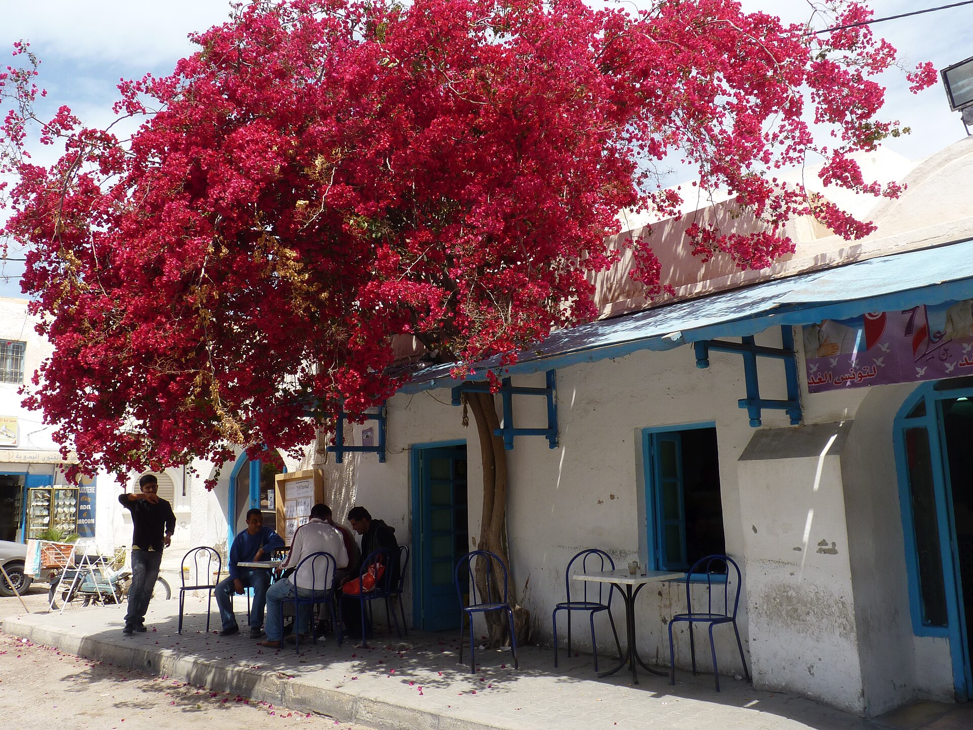 Ruelles fleuries de la médina d'Houmt Souk